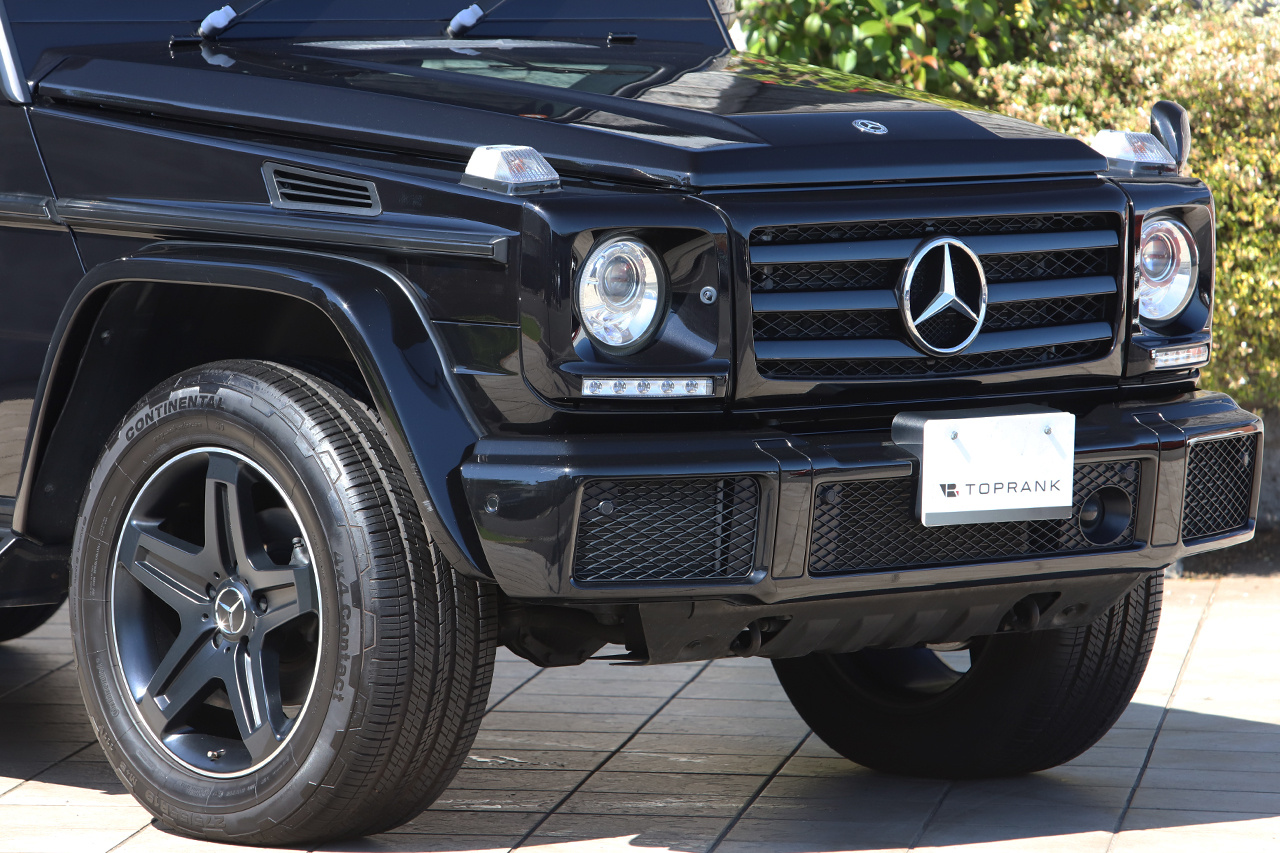2017 Mercedes-Benz G CLASS null