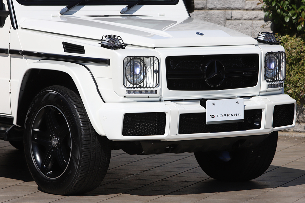 2017 Mercedes-Benz G CLASS null