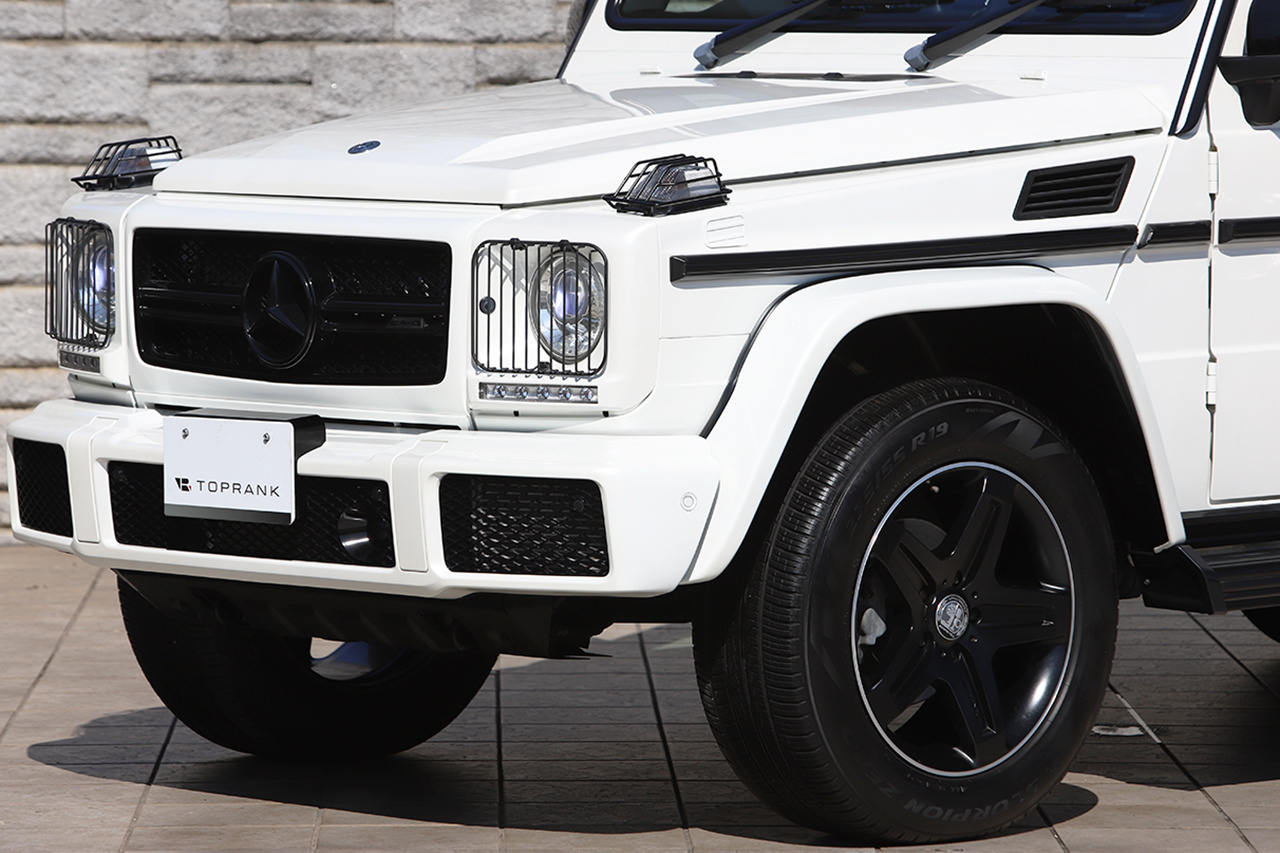 2017 Mercedes-Benz G CLASS null