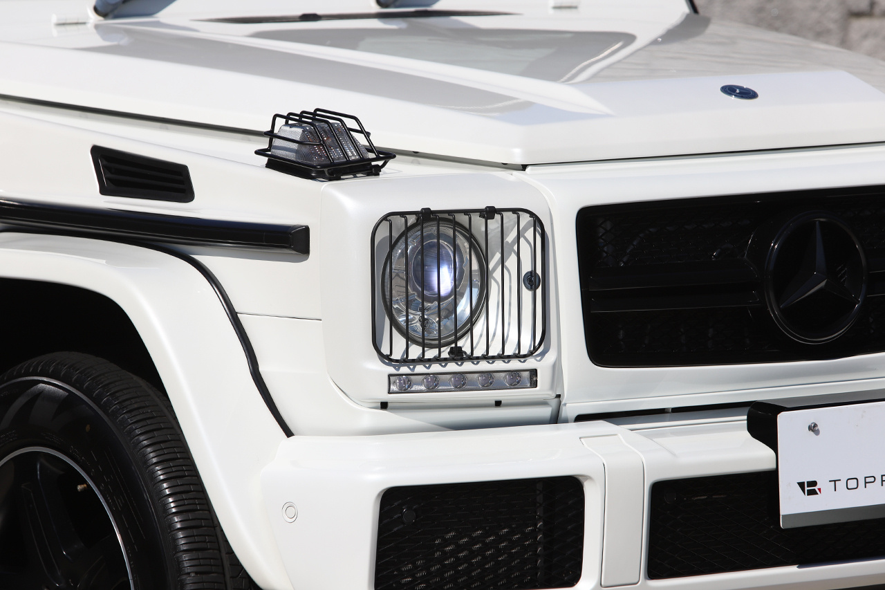 2017 Mercedes-Benz G CLASS null