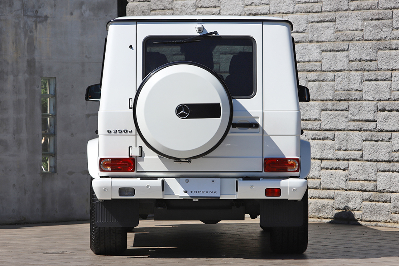 2017 Mercedes-Benz G CLASS null