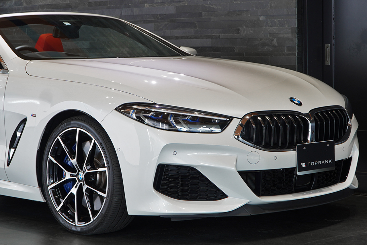 2019 BMW 8 SERIES null