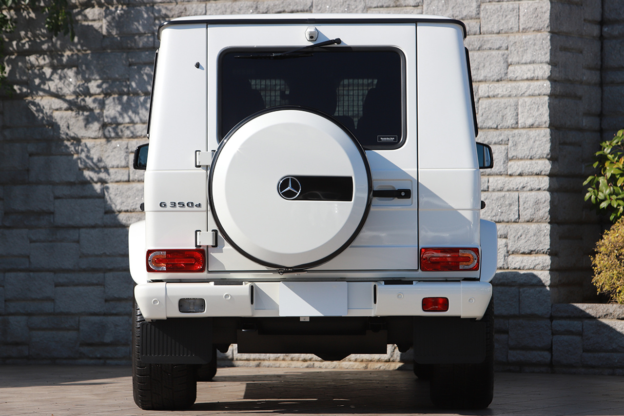 2017 Mercedes-Benz G CLASS null