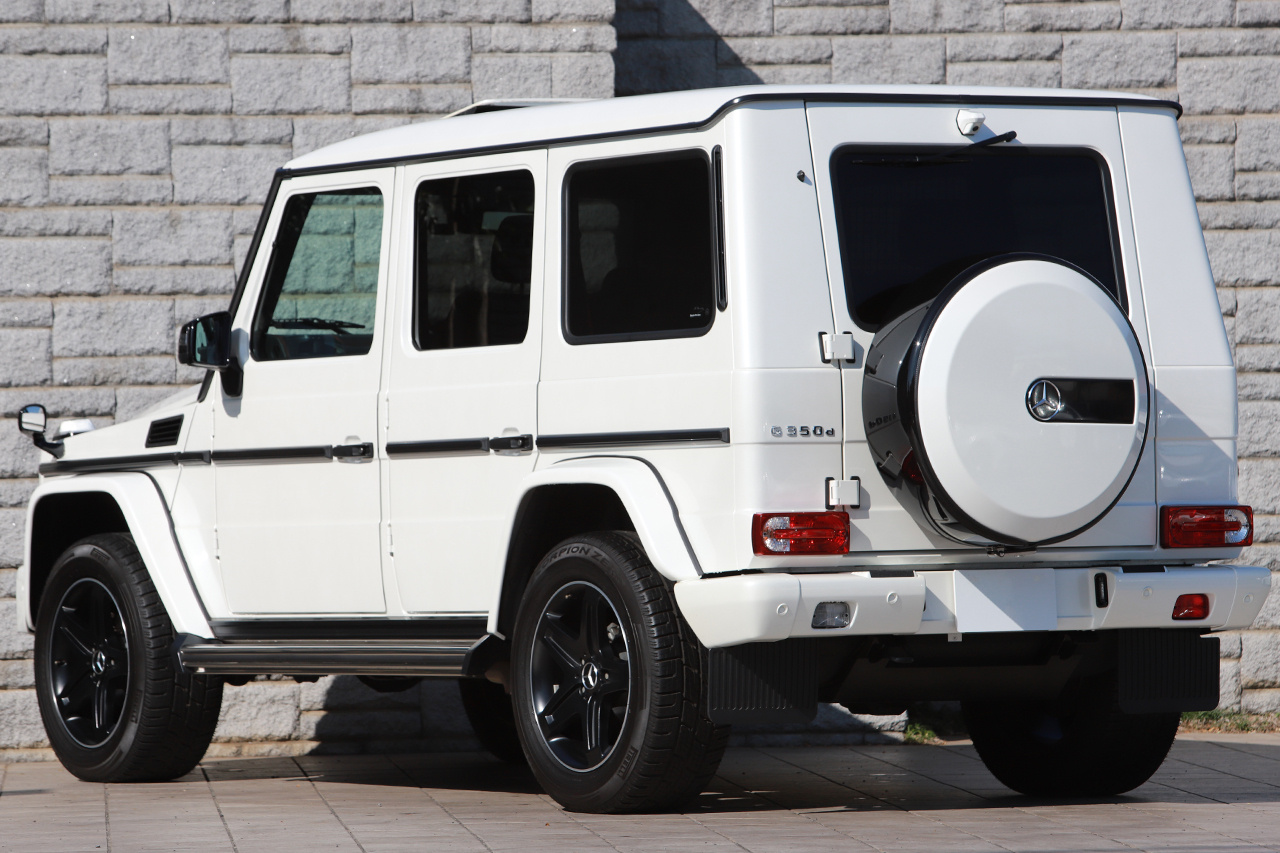 2017 Mercedes-Benz G CLASS null