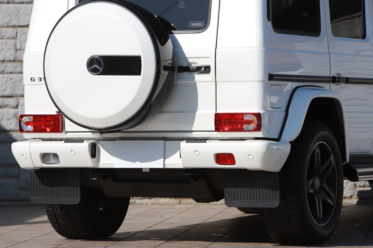 2017 Mercedes-Benz G CLASS null
