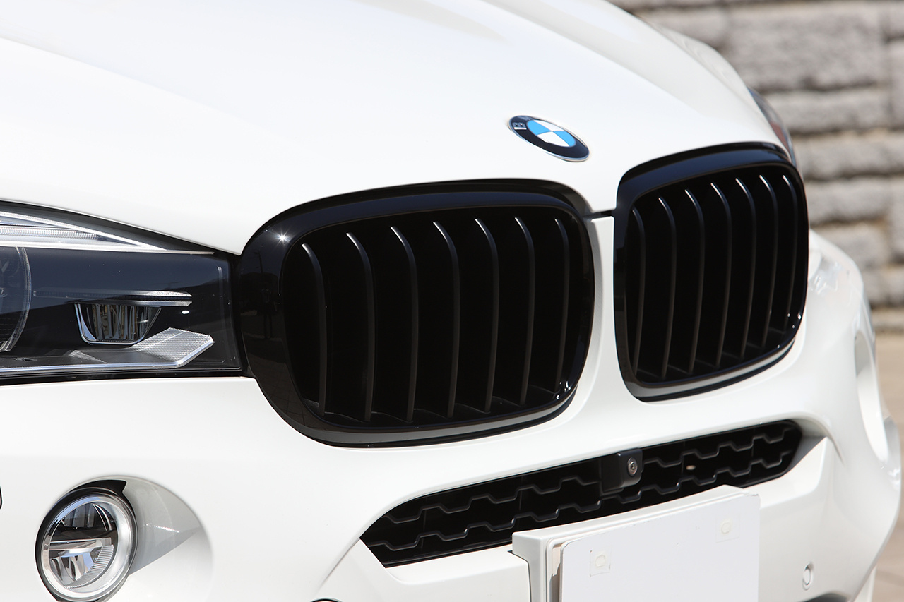 2016 BMW X6 null