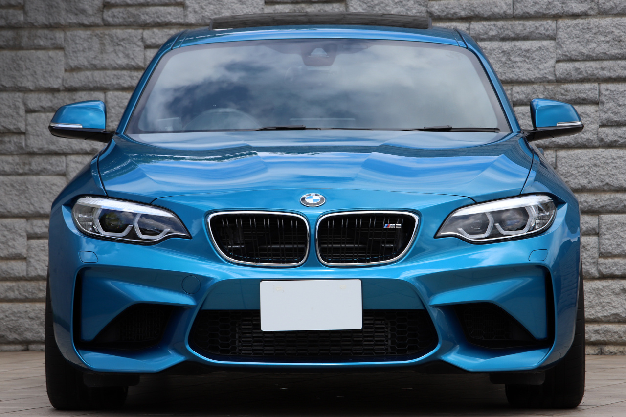 2018 BMW M2 null