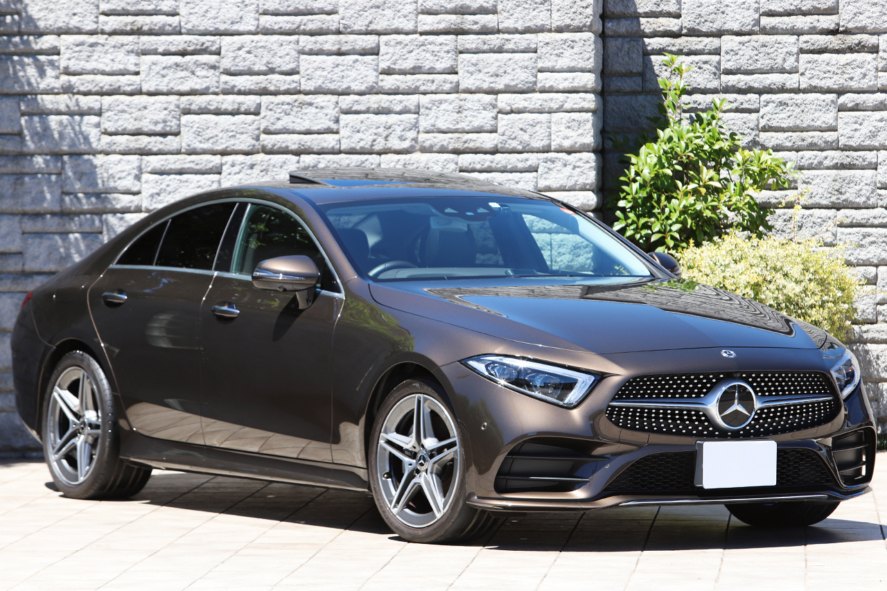 2019 Mercedes-Benz CLS CLASS CLS220D SPOILER EKP | TOPRANK GLOBAL