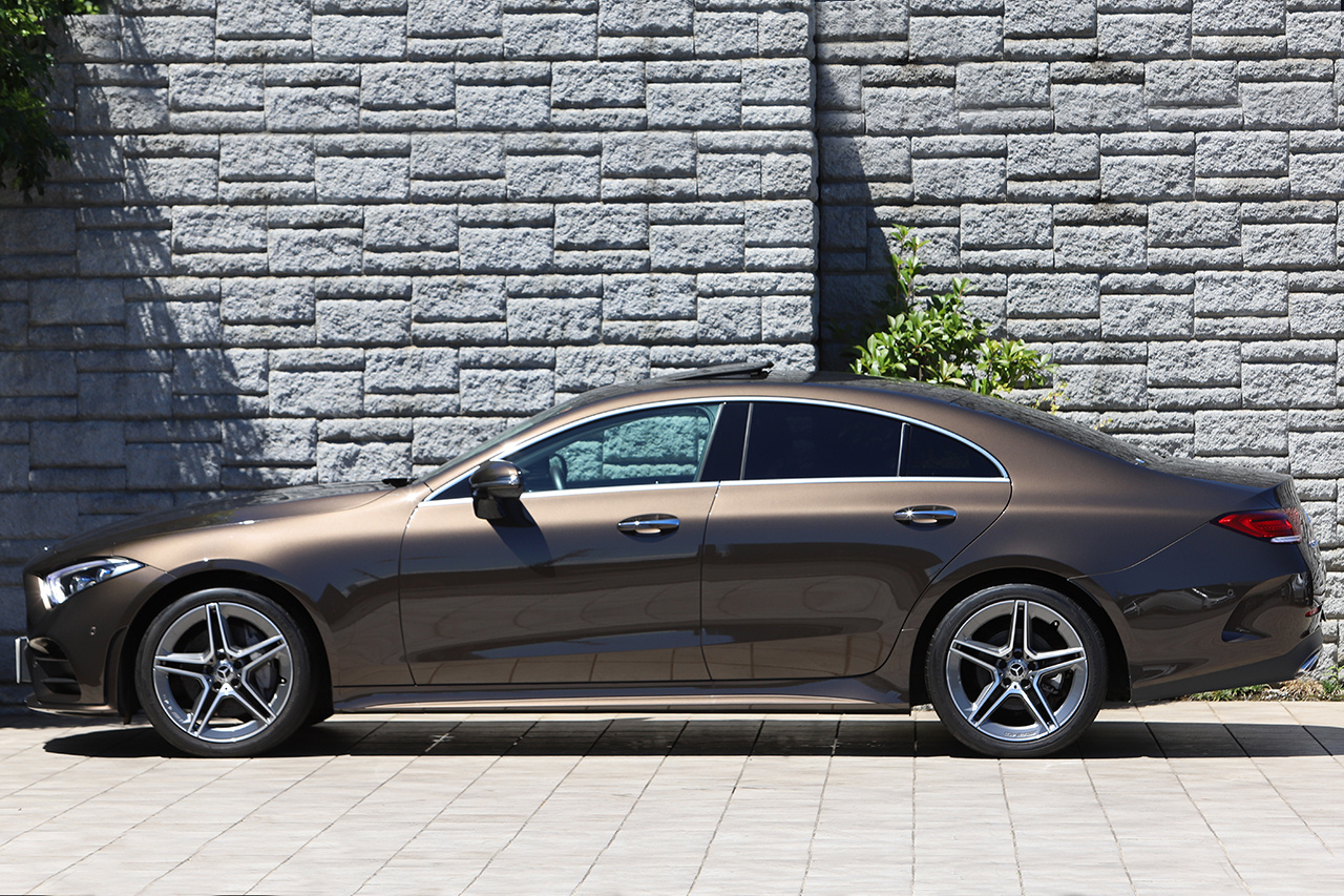 2019 Mercedes-Benz CLS CLASS CLS220D SPOILER EKP | TOPRANK GLOBAL