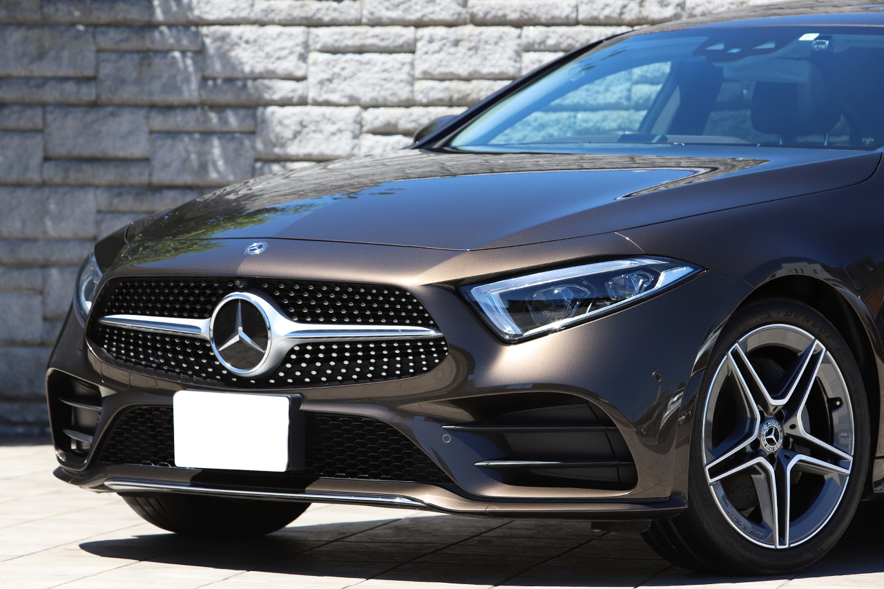 2019 Mercedes-Benz CLS CLASS CLS220D SPOILER EKP | TOPRANK GLOBAL