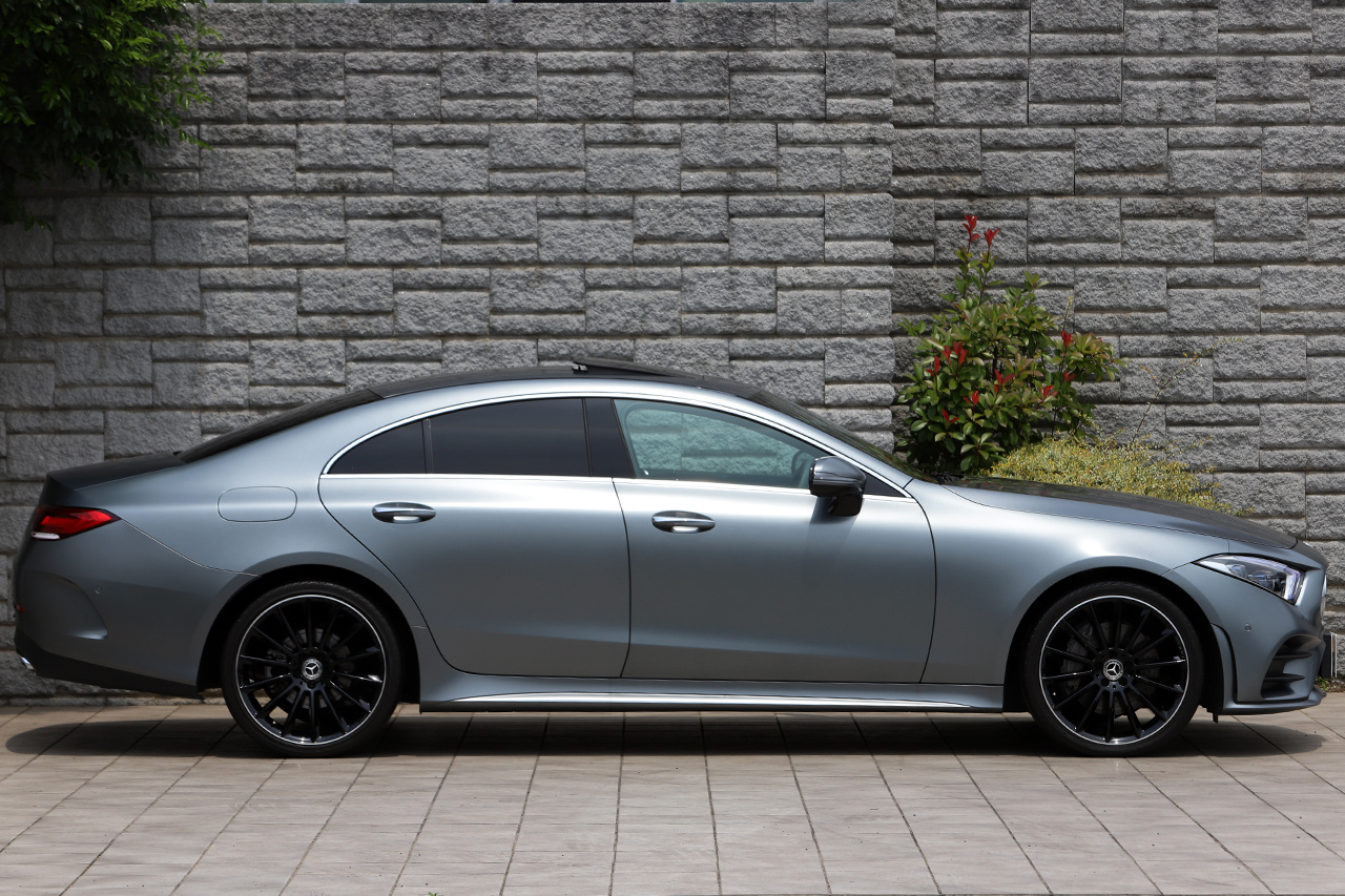2019 Mercedes-Benz CLS CLASS CLS220D SPOILER EKP | TOPRANK GLOBAL
