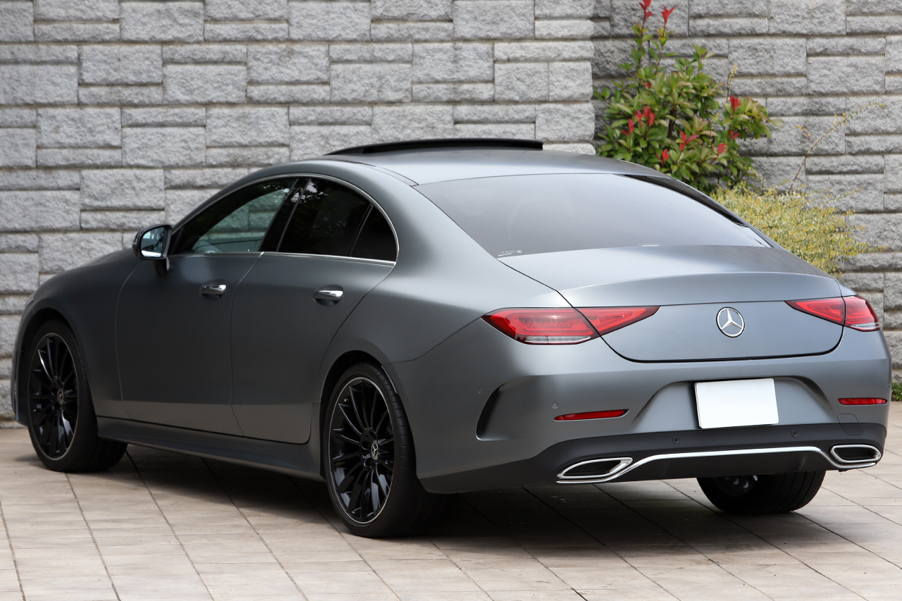 2019 Mercedes-Benz CLS CLASS CLS220D SPOILER EKP | TOPRANK GLOBAL