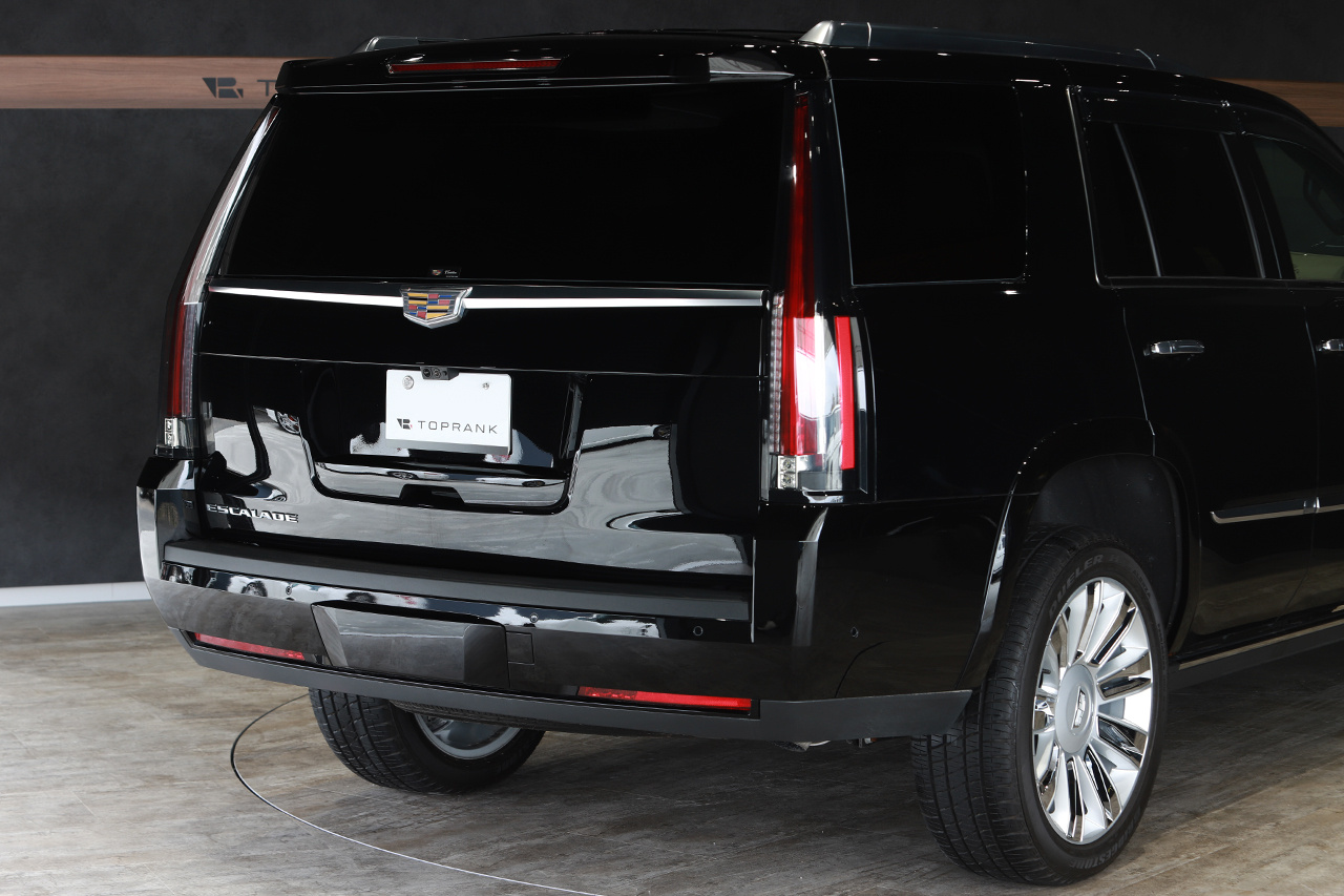 2019 Cadillac ESCALADE CADE ESKARE-4W PLATINUM