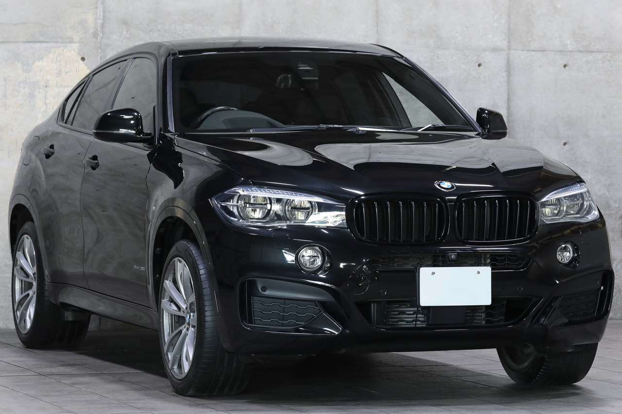 2019 BMW X6 null