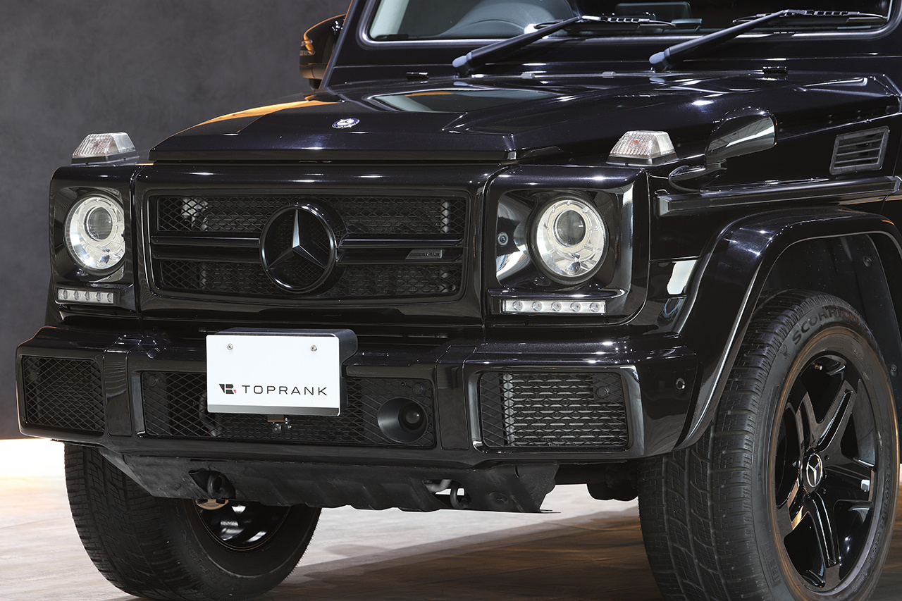 2017 Mercedes-Benz G CLASS null