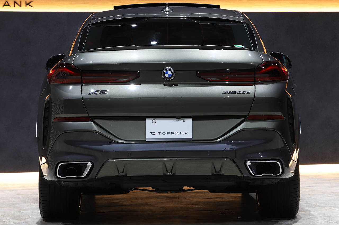 2020 BMW X6 