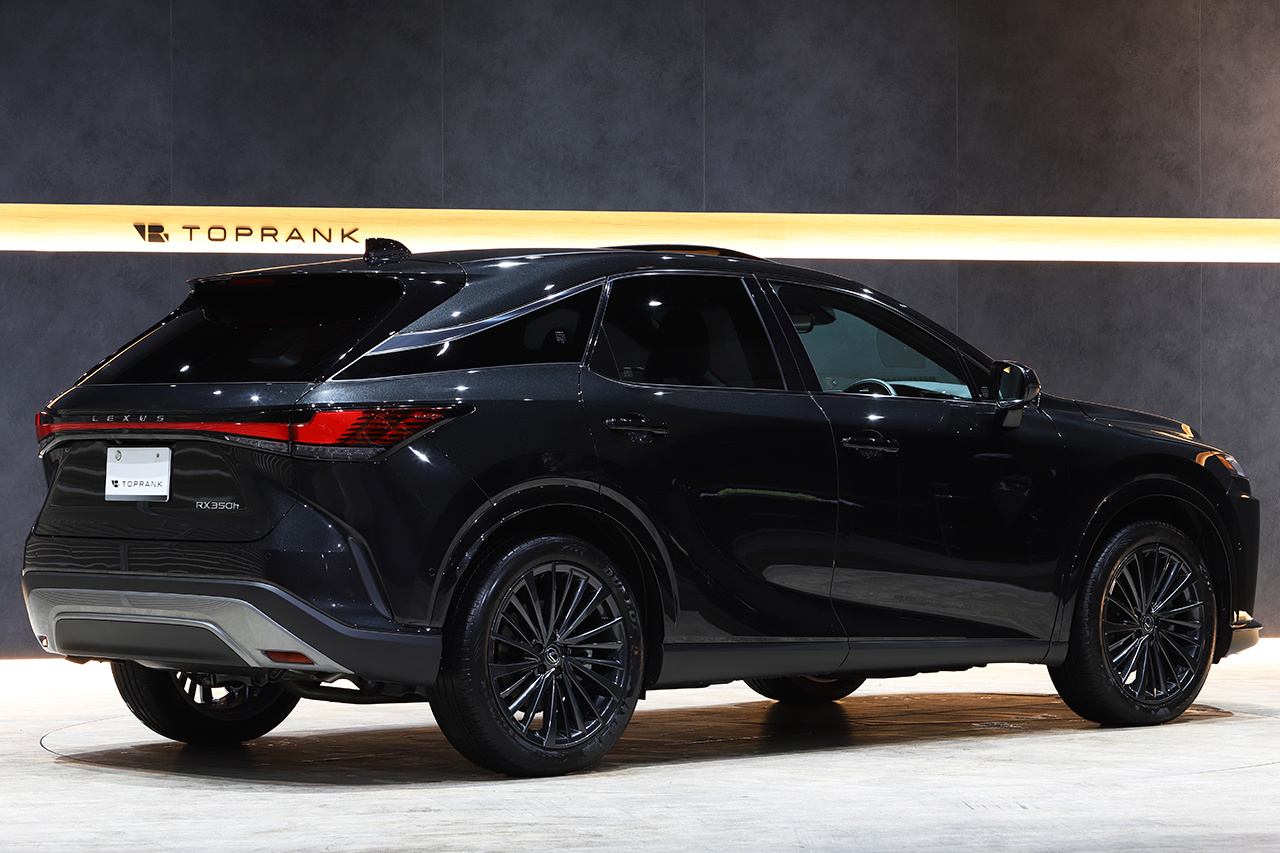2023 Lexus RX | TOPRANK GLOBAL