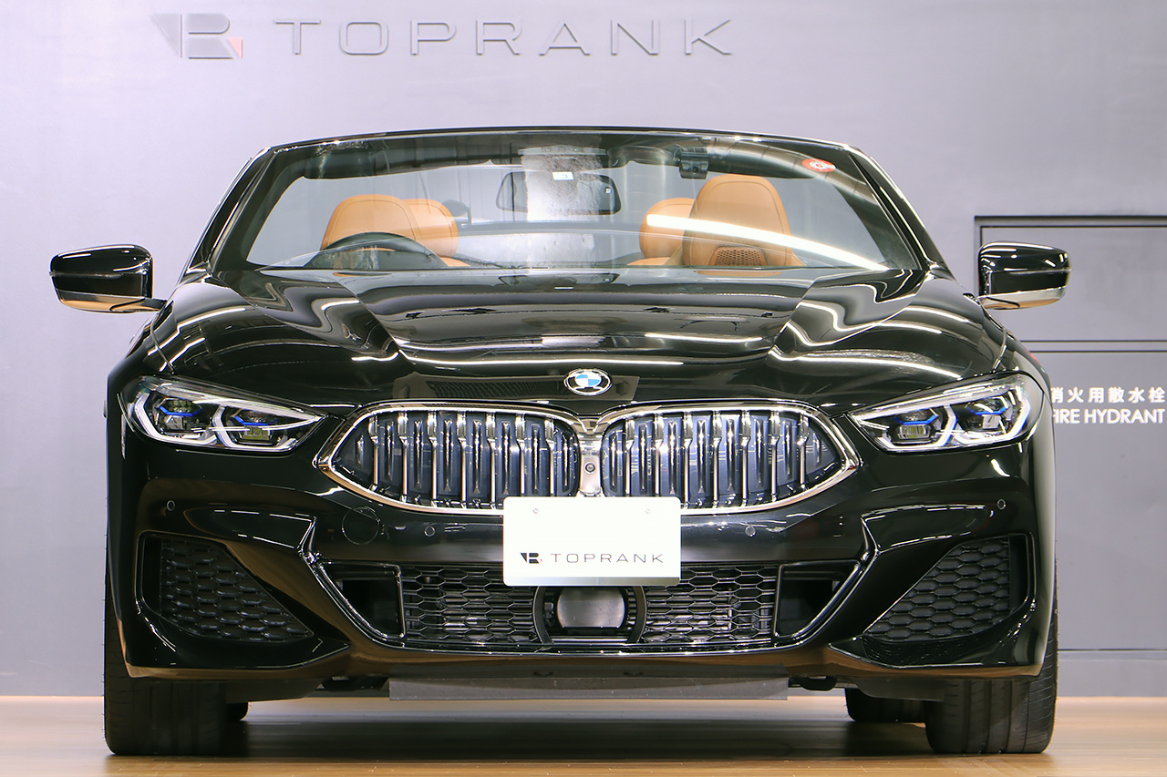 2019 BMW 8 SERIES 